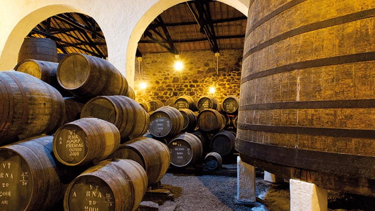 Barrels in a port wine cellar in Oporto, Portugal